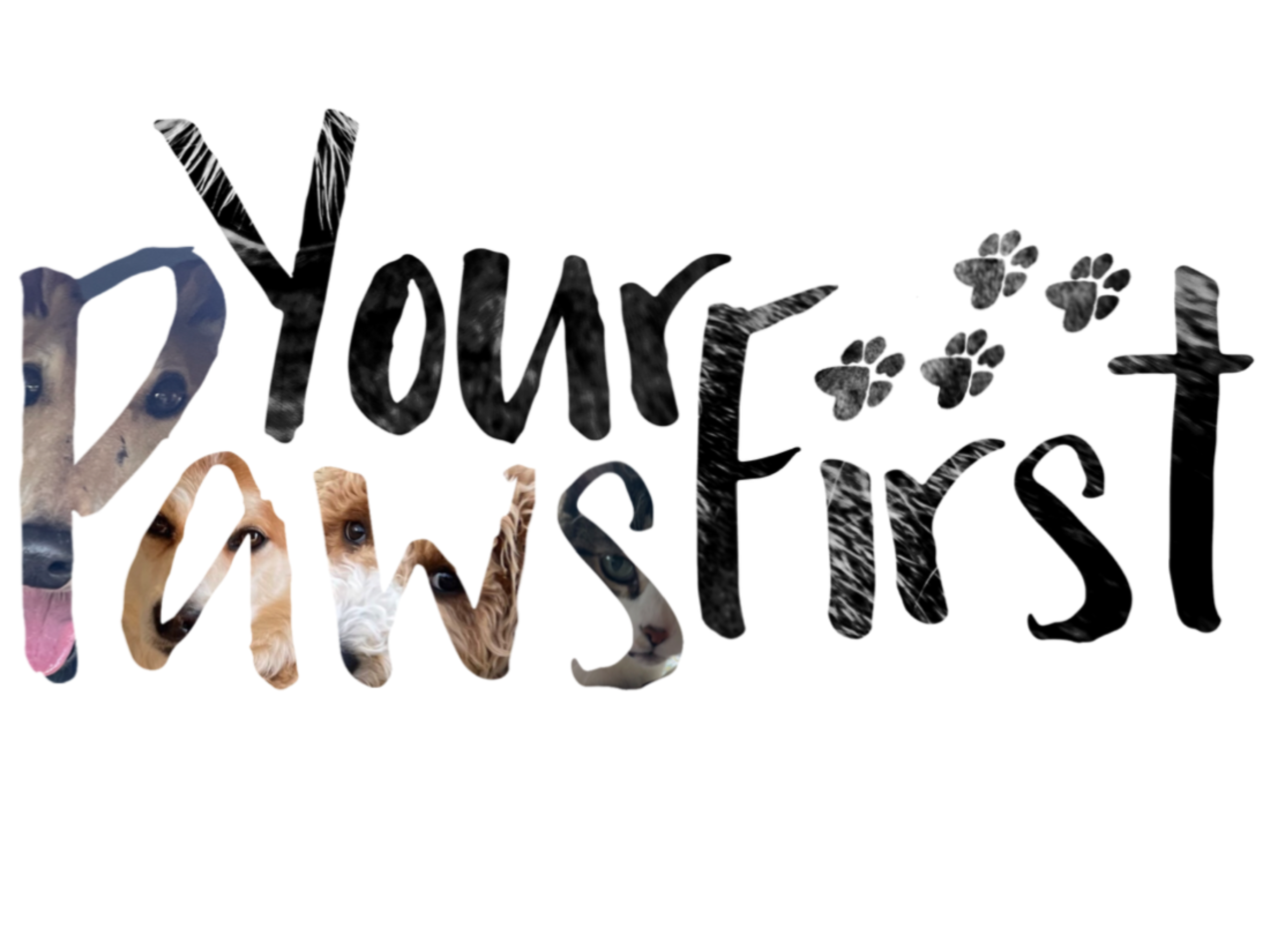 Your Paws First Logo